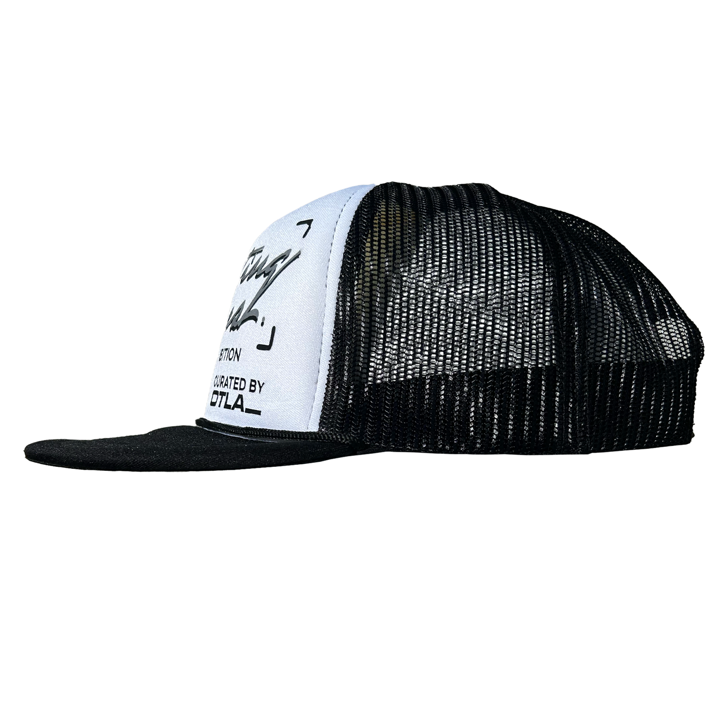 “Painting Pictures” Trucker