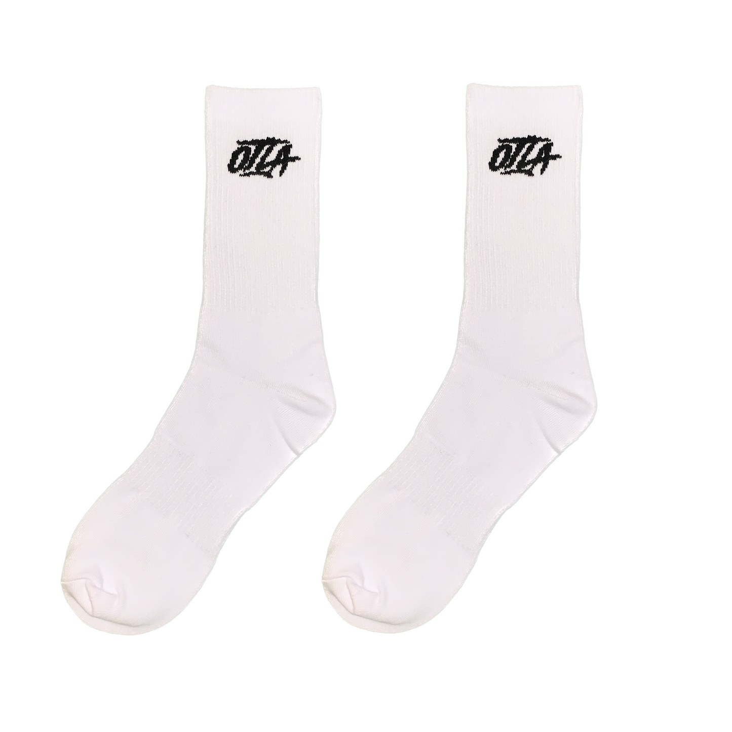 Logo socks (2 pair)